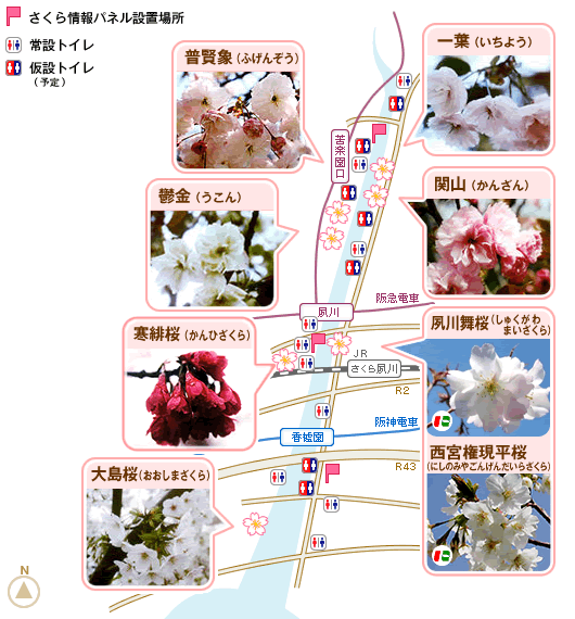 夙川さくら情報マップ