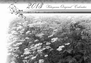 写真：北山緑化植物園・オリジナルカレンダー2013