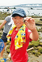 写真：干潟の生き物を見つける子ども広報員