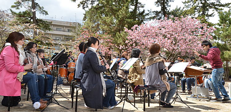 写真：桜の下の小さなコンサート