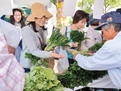 写真：地場野菜の即売会
