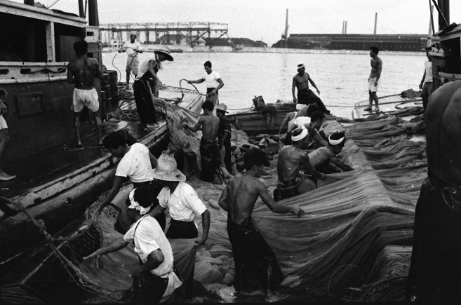 昭和30年頃　魚網を片付ける