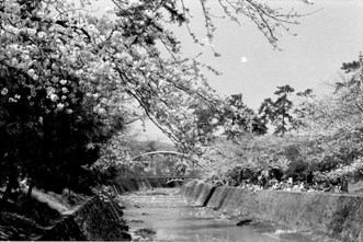 昭和46年　片鉾橋