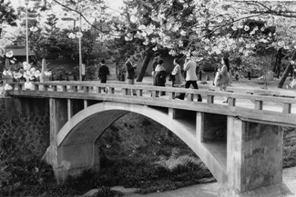 昭和40年代　こほろぎ橋