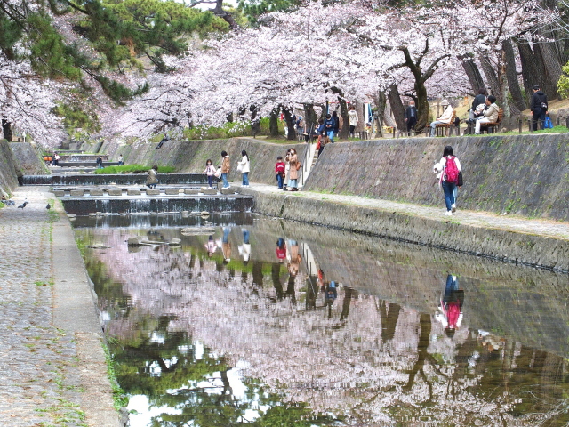 2022年3月29日の桜