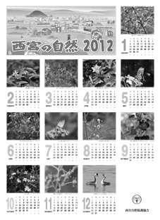 写真：自然カレンダー