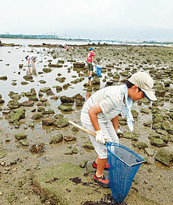 写真：干潟の生き物探し