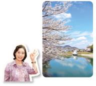 写真：桜とニテコ池・高須町 荒木さん