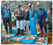 写真：活気あふれる魚市場はなりわいの源泉
