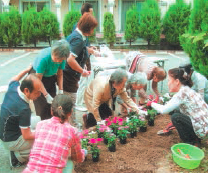 写真：高齢者施設の利用者と一緒に花壇作り