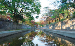 写真：オアシスロード（夙川）