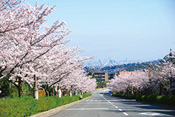 写真：東山台