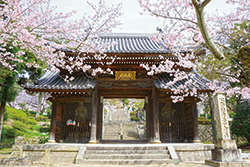 写真：神呪寺