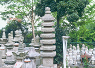 写真: 鷲林寺の石造七重塔