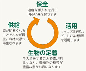 図：保全…適度な手入れを行い明るい森を保ちます／活用…キャンプ場で薪などにして森林資源を活用します／生物の定着…手入れをすることで森が明るくなり、動植物の種類が豊富な豊かな森になります／供給…森が明るくなることで木々が再生。森林資源も再生されます