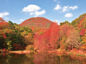 写真：みくるま池と紅葉の甲山