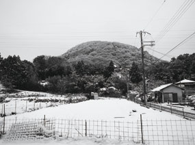 写真：雪景色の甲山