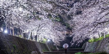 写真：苦楽園ライトアップ