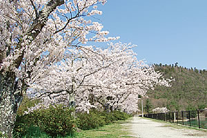 写真：丸山貯水池（金仙寺湖）