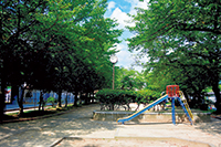 写真：市内の公園
