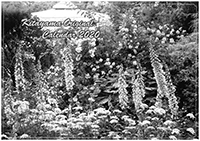 写真：北山緑化植物園オリジナルカレンダー