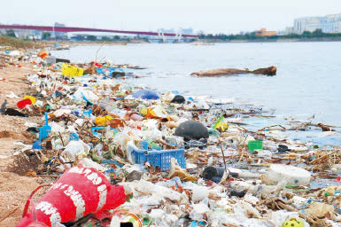 台風の影響により、御前浜（香櫨園浜）に大量に流れ着いたプラスチックごみなど
