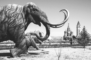 写真：≪マンモス公園/中国≫2018年 ©KENJI SATO