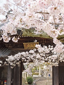 写真：神呪寺（甲山町）