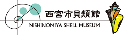 西宮市貝類館　NISHINOMIYA SHELL MUSEUM