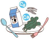 カルシウムの多い食品（牛乳、小魚、海藻類）