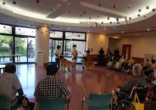 R7ふれあい写真