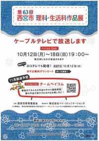 第63回　西宮市　理科・生活科作品展　表面