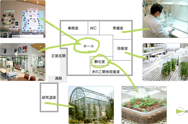 植物生産研究センター 施設の紹介図