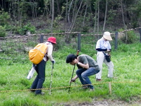 きのこ調査-サムネイル