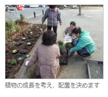 植物の成長を考え、配置を決めます