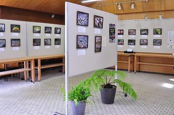 展示風景