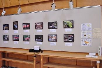 展示風景