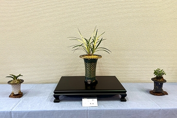 東洋ラン