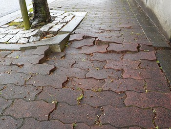 根上がり