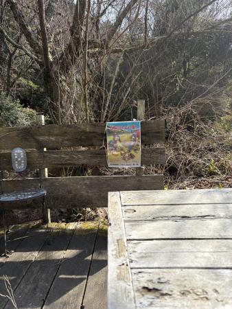 クラブアリスです