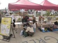 避難脱出ゲーム