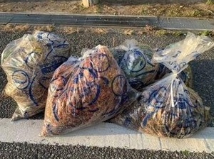 袋（排出見本）