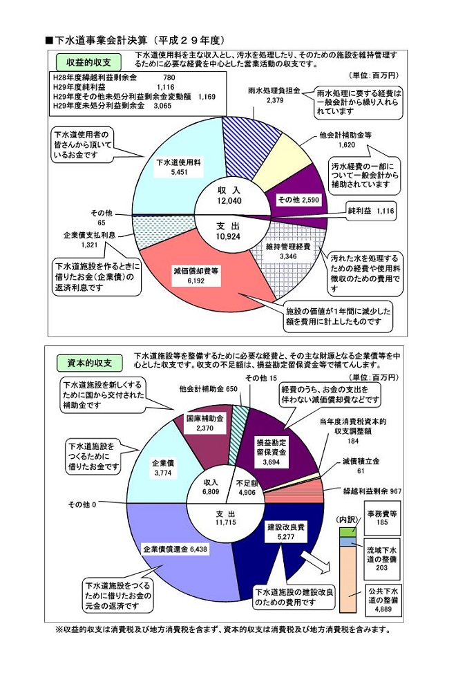 平成29年度決算収支グラフ（下水道事業）