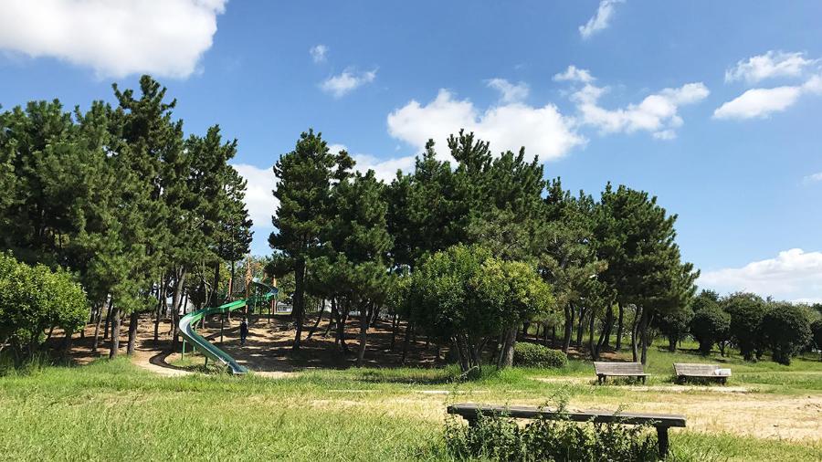甲子園浜海浜公園 長い滑り台