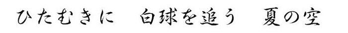 ひたむきに　白球を追う　夏の空