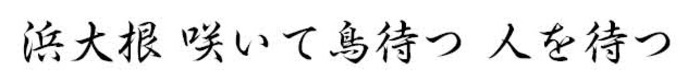 浜大根　咲いて鳥待つ　人を待つ