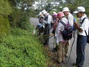 西宮自然保護協会の写真