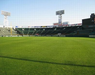 阪神甲子園球場芝生活用緑化事業について 西宮市ホームページ