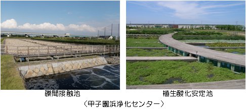 甲子園浜浄化センターの礫間接触池と植生酸化安定池の写真