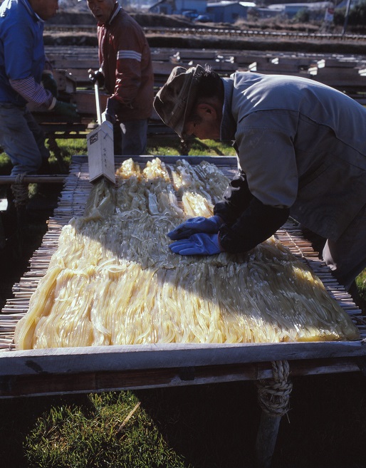 筒引きの終わったところてんを広げる